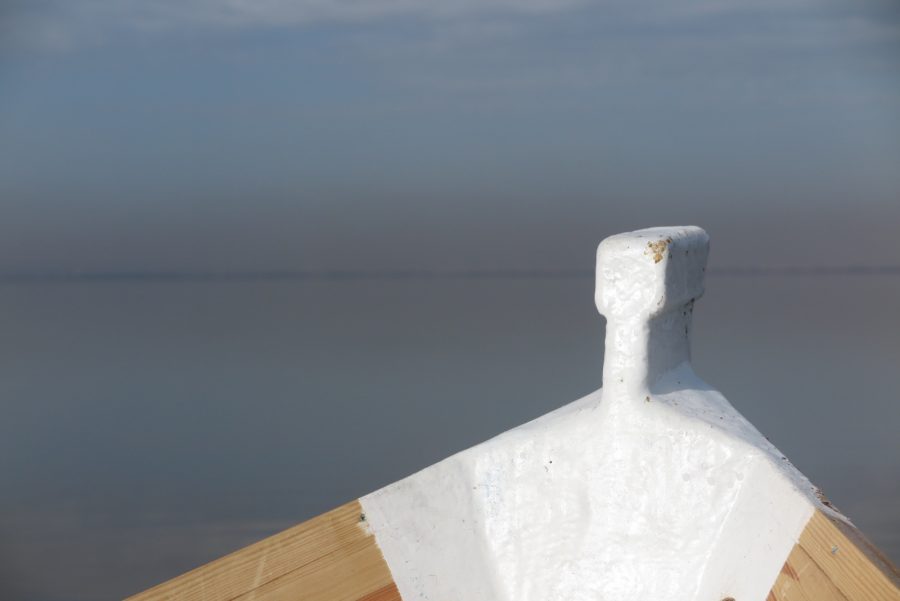 Barca Eléctrica de Paseo El Roch