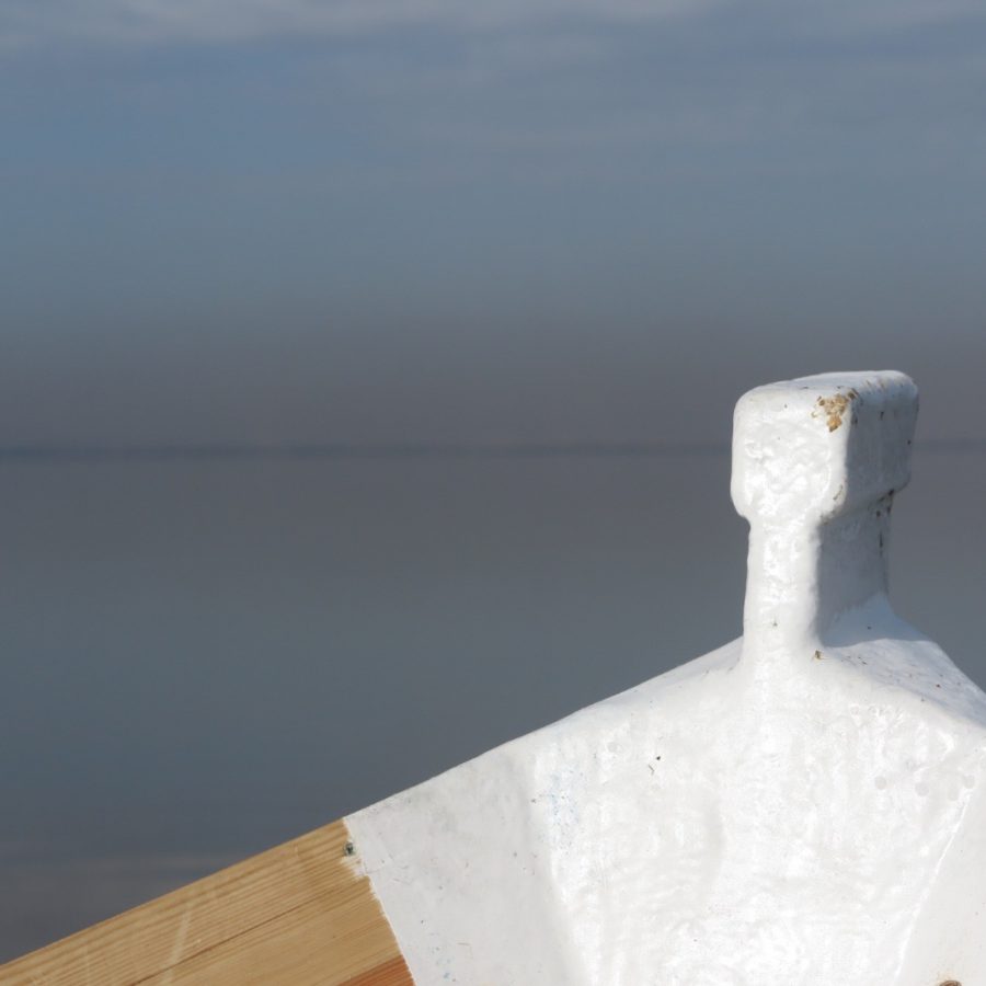 Barca Eléctrica de Paseo El Roch