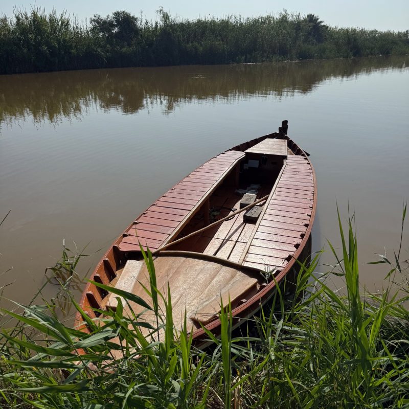barcas 2