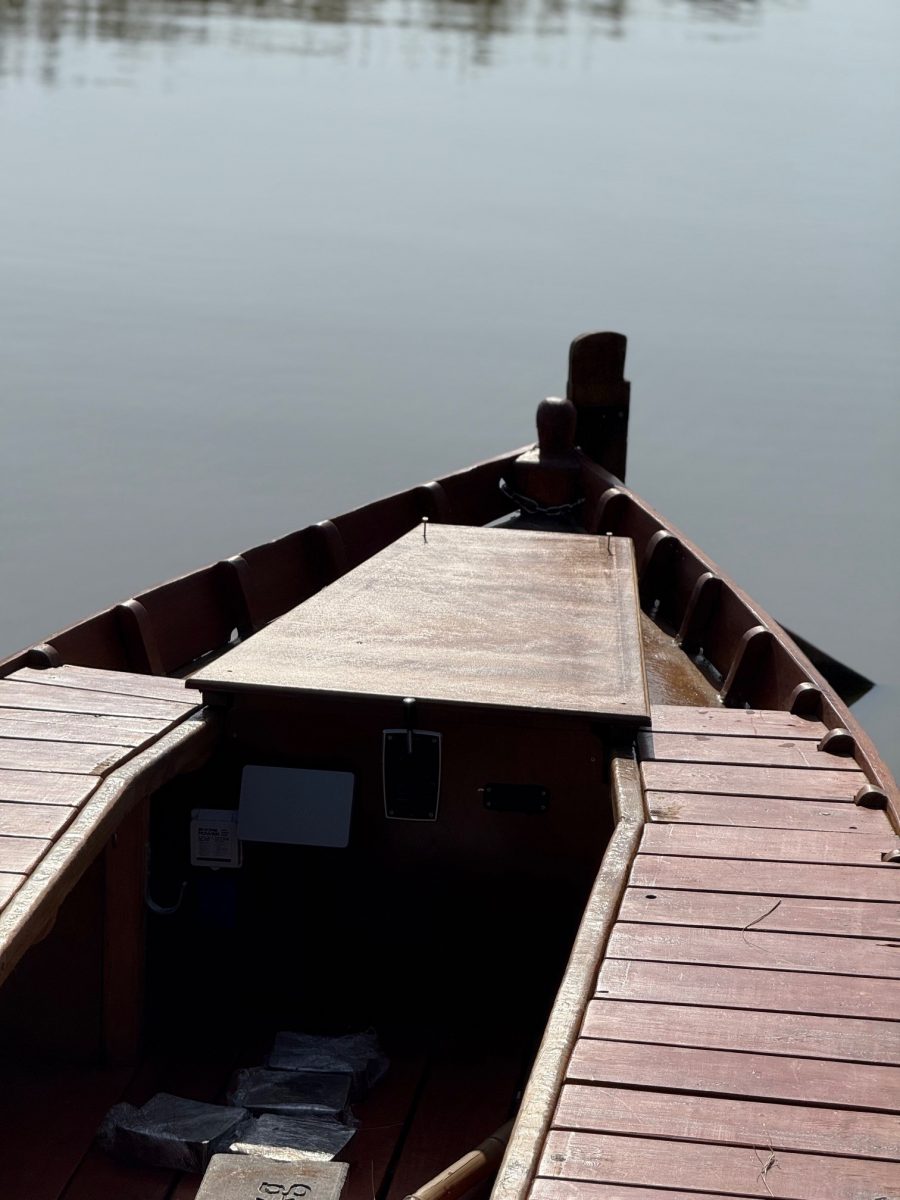 Barca de Paseo Al Alba